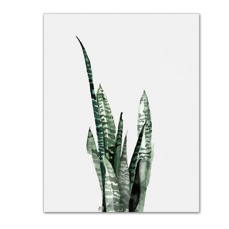 Watercolor Plants