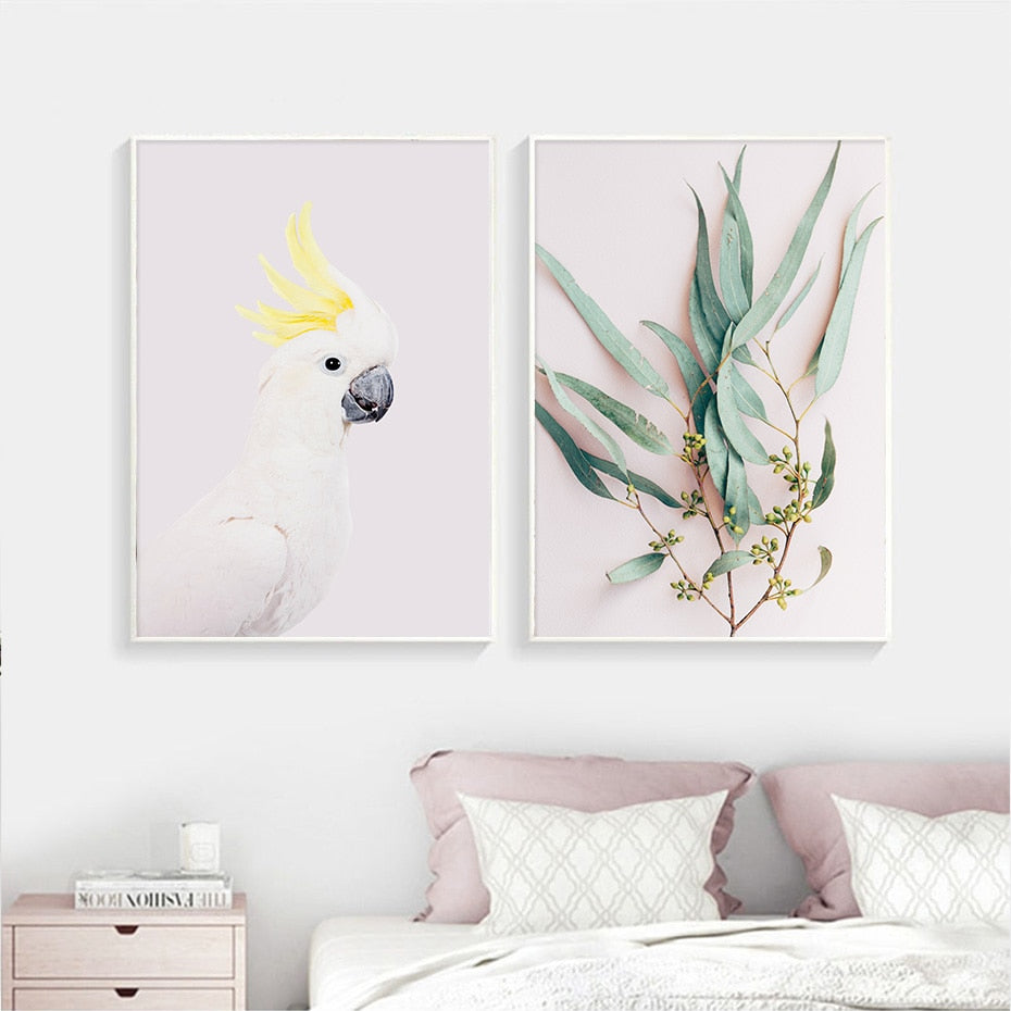 Cockatoo