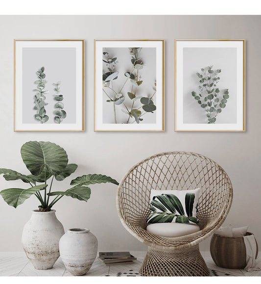 Eucalyptus Leaves
