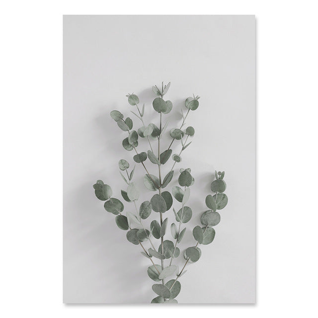 Eucalyptus Leaves