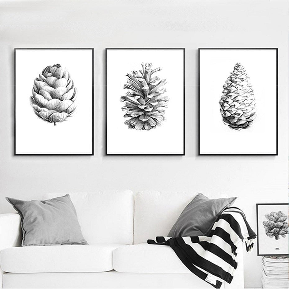 Pine Cone Illustration