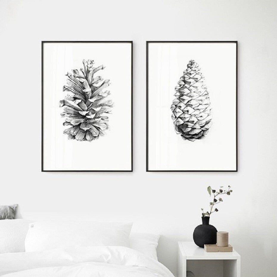 Pine Cone Illustration