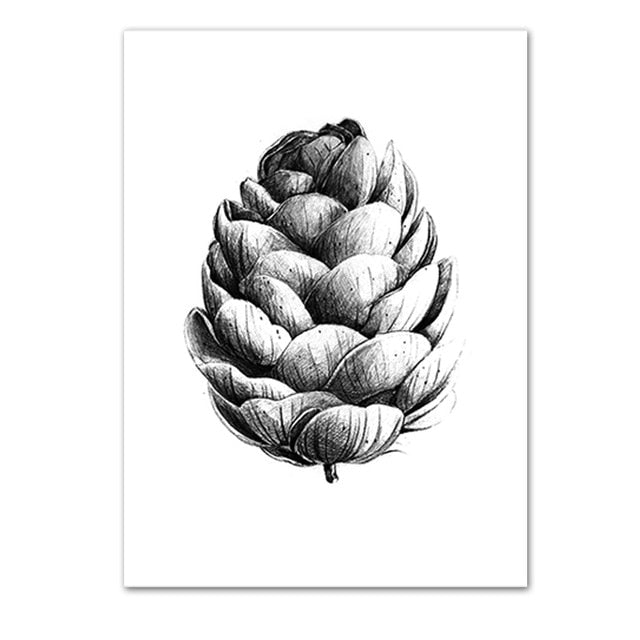 Original pen & in continuous line drawing of a pine cone on ivory paper |  eBay